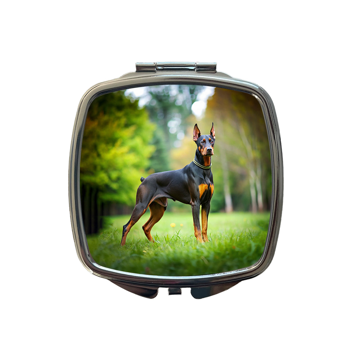 Doberman Pinscher Dog Photo Small Travel Purse Handbag Pocket Makeup Compact Mirror