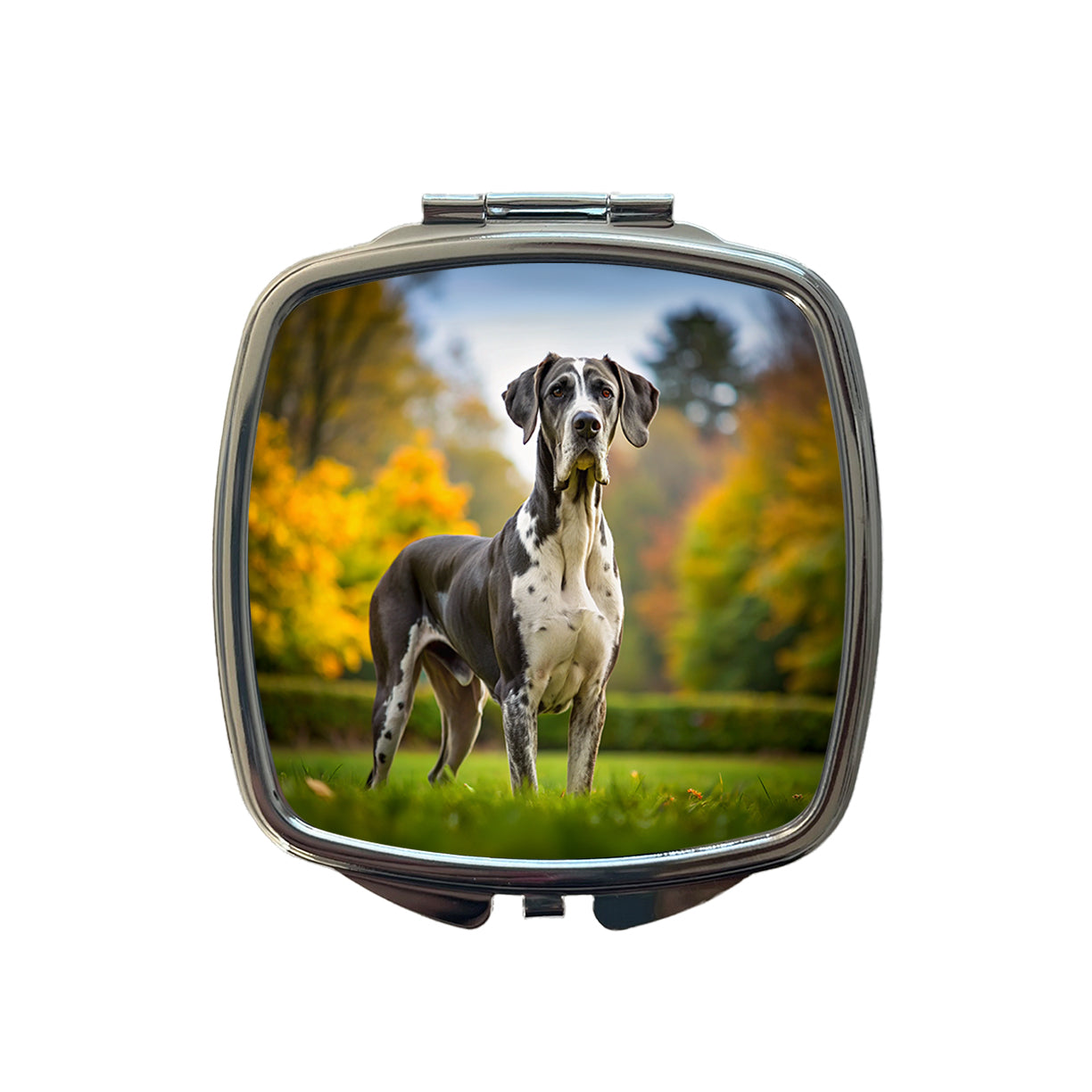 Great Dane Dog Photo Small Travel Purse Handbag Pocket Makeup Compact Mirror