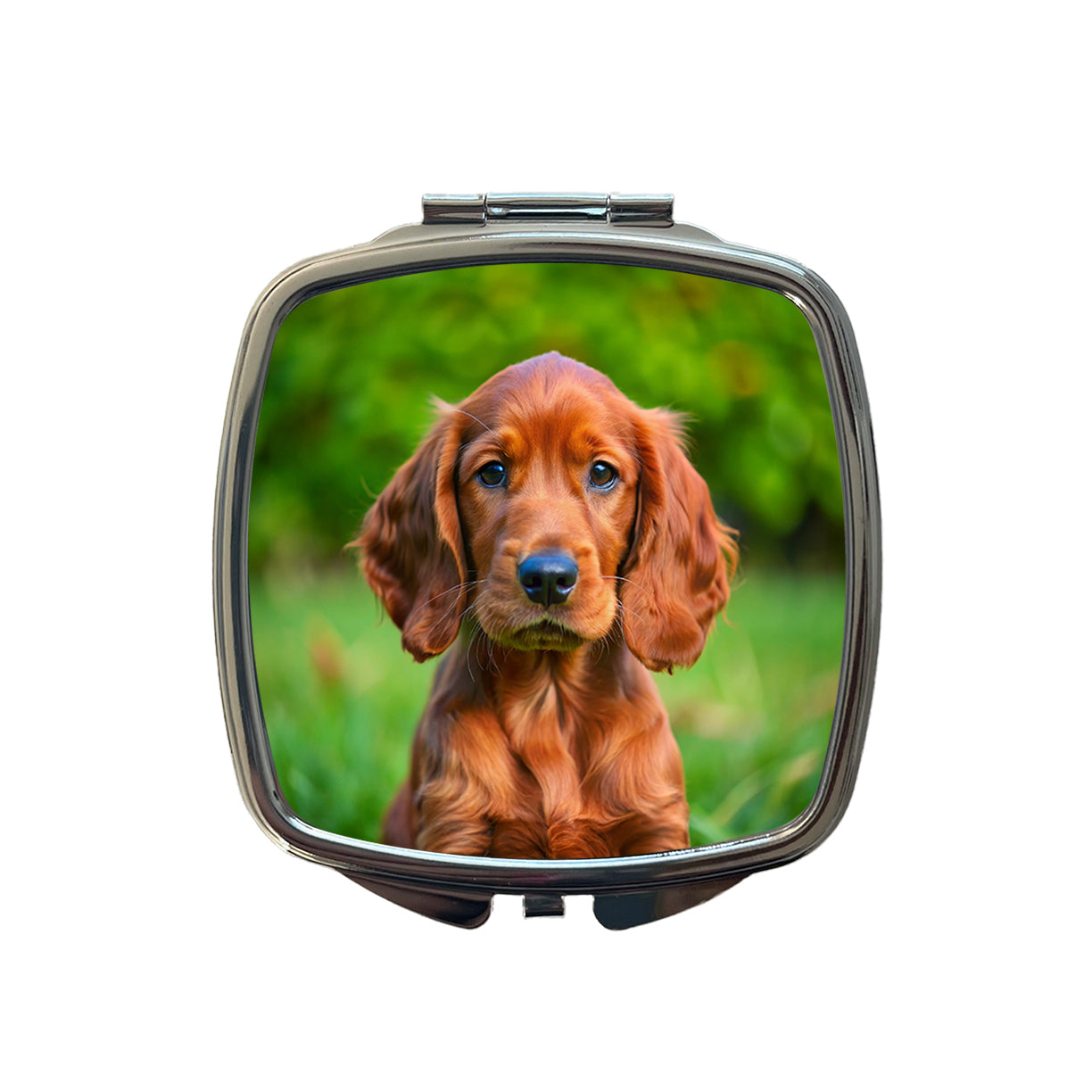 Irish Setter Dog Puppy Photo Small Travel Purse Handbag Pocket Makeup Compact Mirror