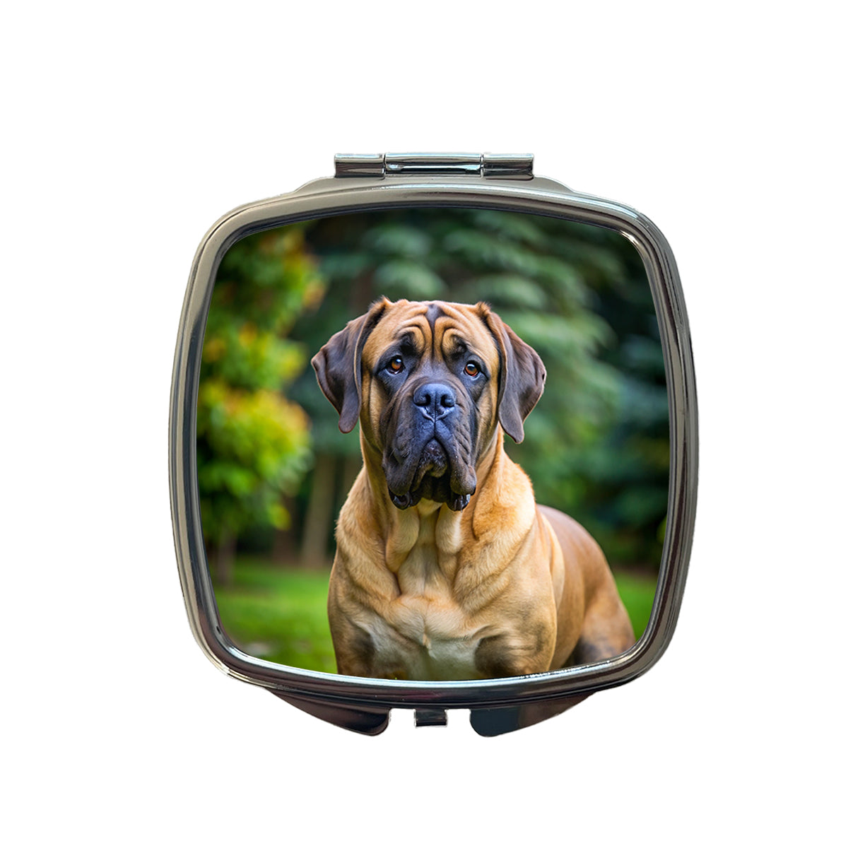 Mastiff Dog Photo Small Travel Purse Handbag Pocket Makeup Compact Mirror