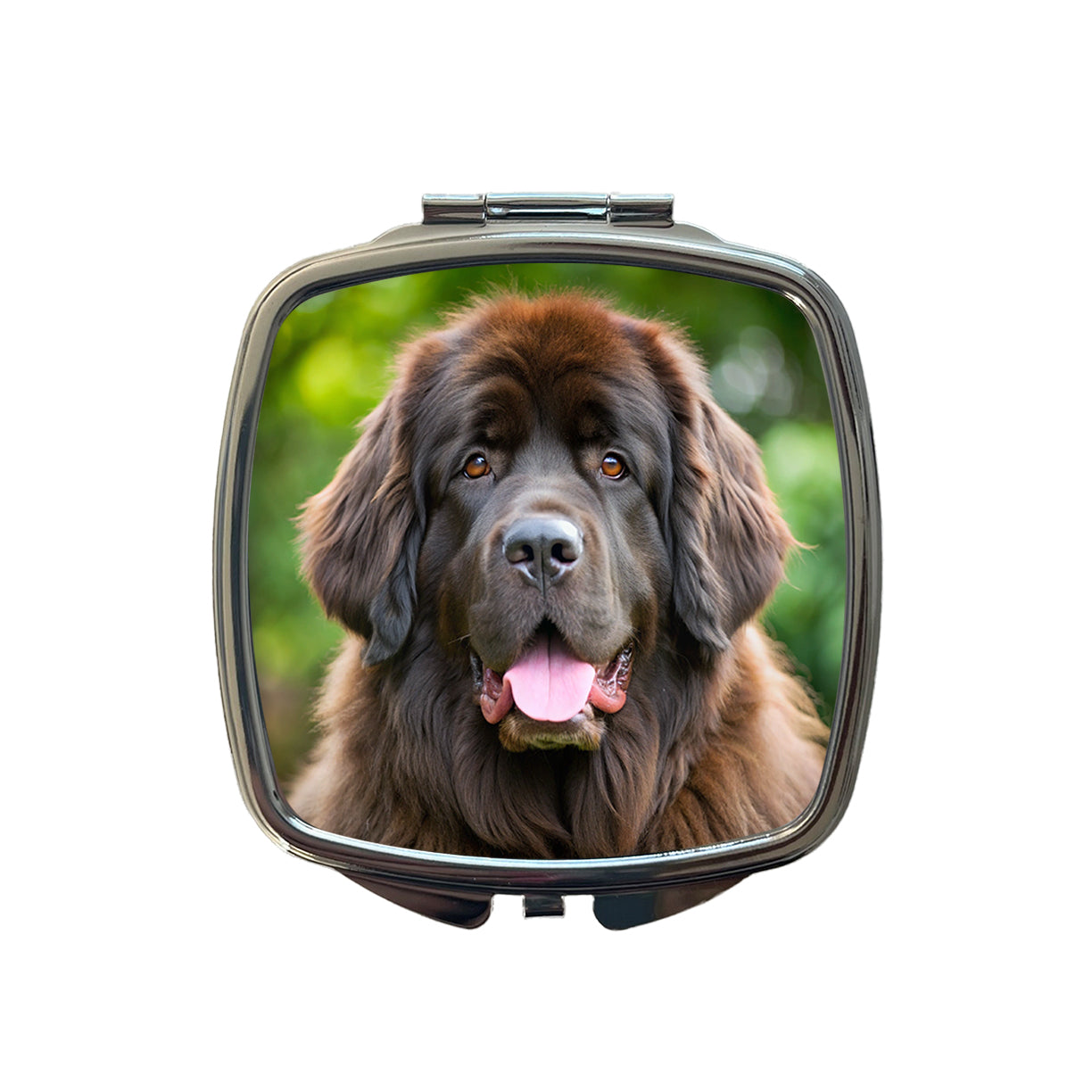 Newfoundland Dog Photo Small Travel Purse Handbag Pocket Makeup Compact Mirror