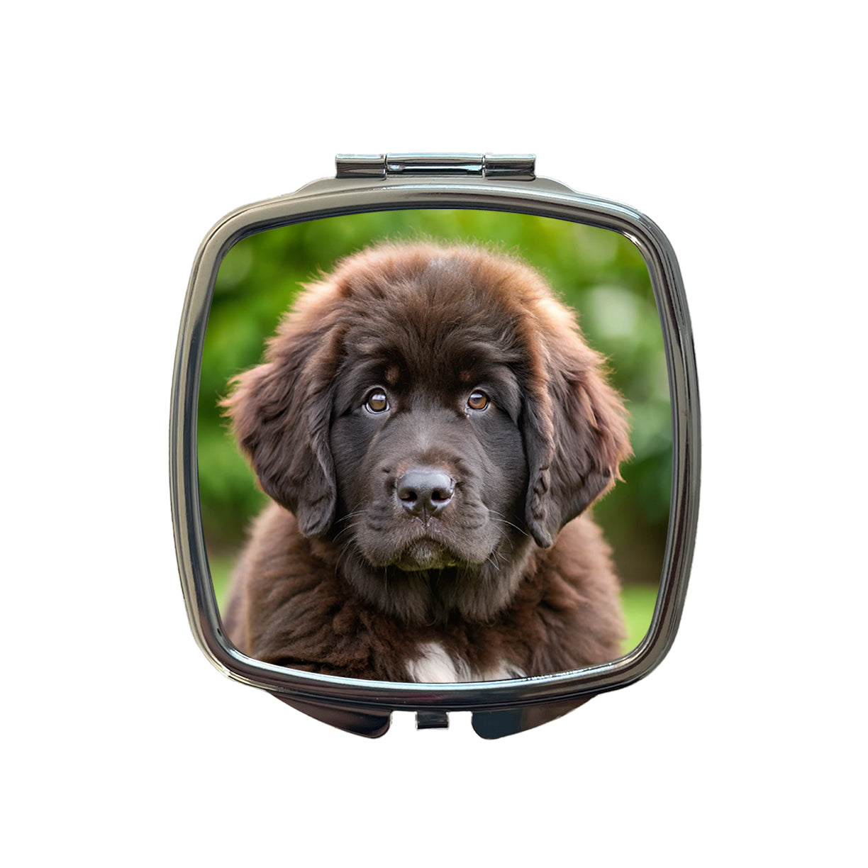 Newfoundland Dog Puppy Photo Small Travel Purse Handbag Pocket Makeup Compact Mirror
