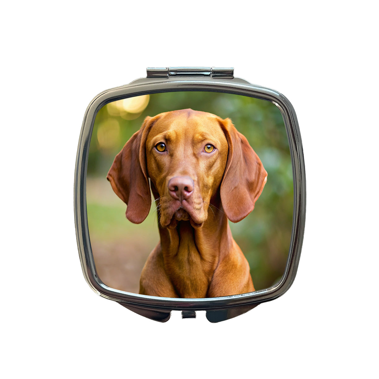 Vizsla Dog Photo Small Travel Purse Handbag Pocket Makeup Compact Mirror