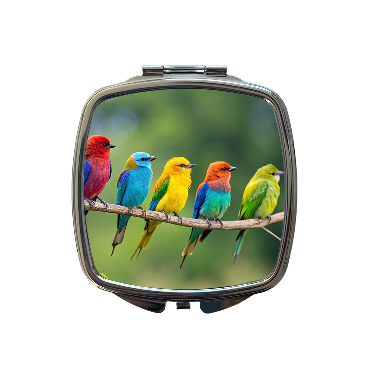 Colorful Birds In A Row Small Travel Purse Handbag Pocket Makeup Compact Mirror