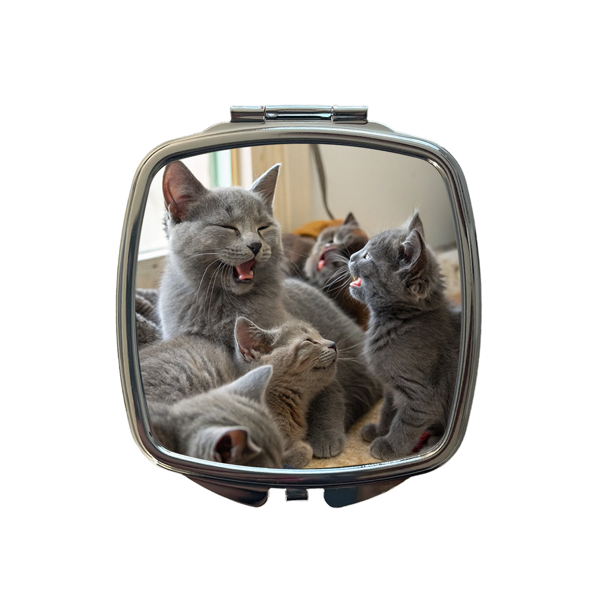 Bunch Of Gray Cats Small Travel Purse Handbag Pocket Makeup Compact Mirror