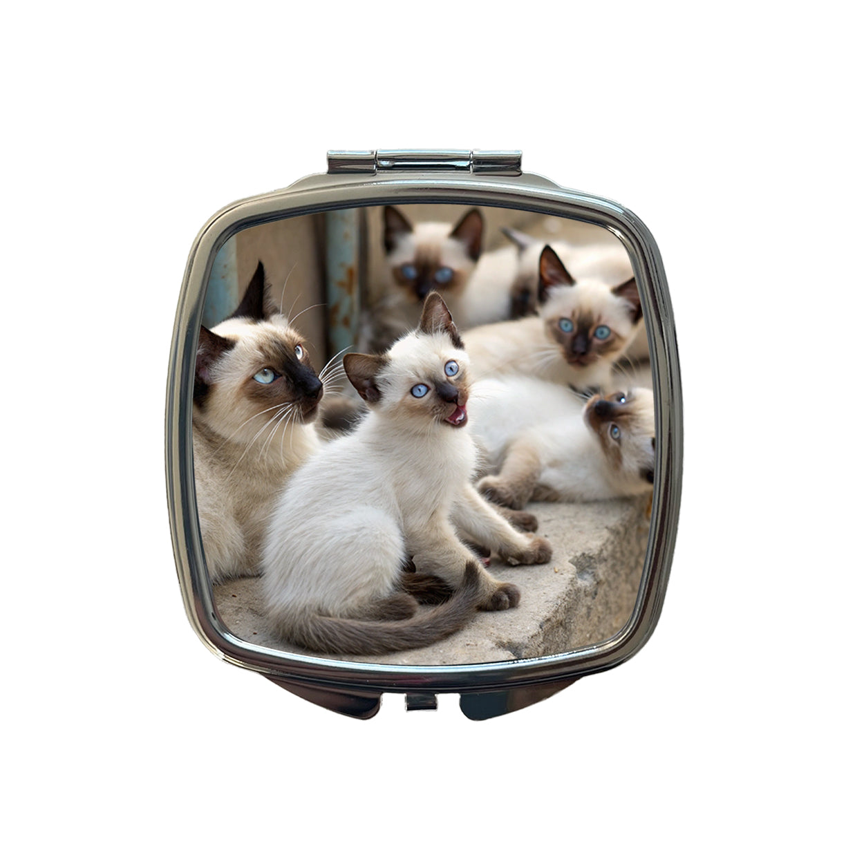 Bunch Of Siamese Cats Small Travel Purse Handbag Pocket Makeup Compact Mirror
