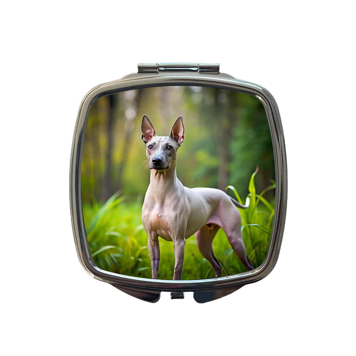 American Hairless Terrier Dog Photo Small Travel Purse Handbag Pocket Makeup Compact Mirror