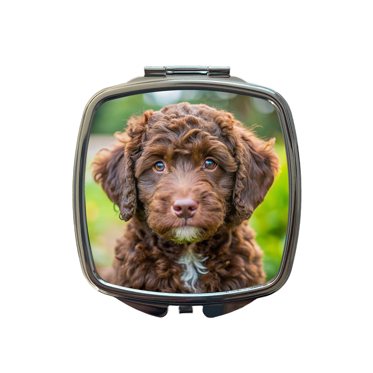 Barbet Dog Puppy Photo Small Travel Purse Handbag Pocket Makeup Compact Mirror