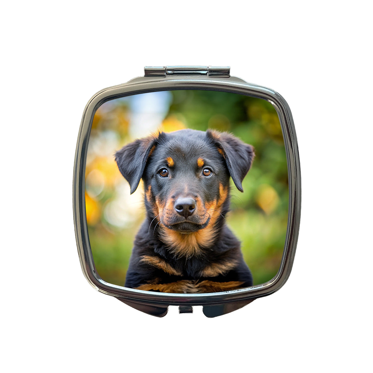 Beauceron Dog Puppy Photo Small Travel Purse Handbag Pocket Makeup Compact Mirror