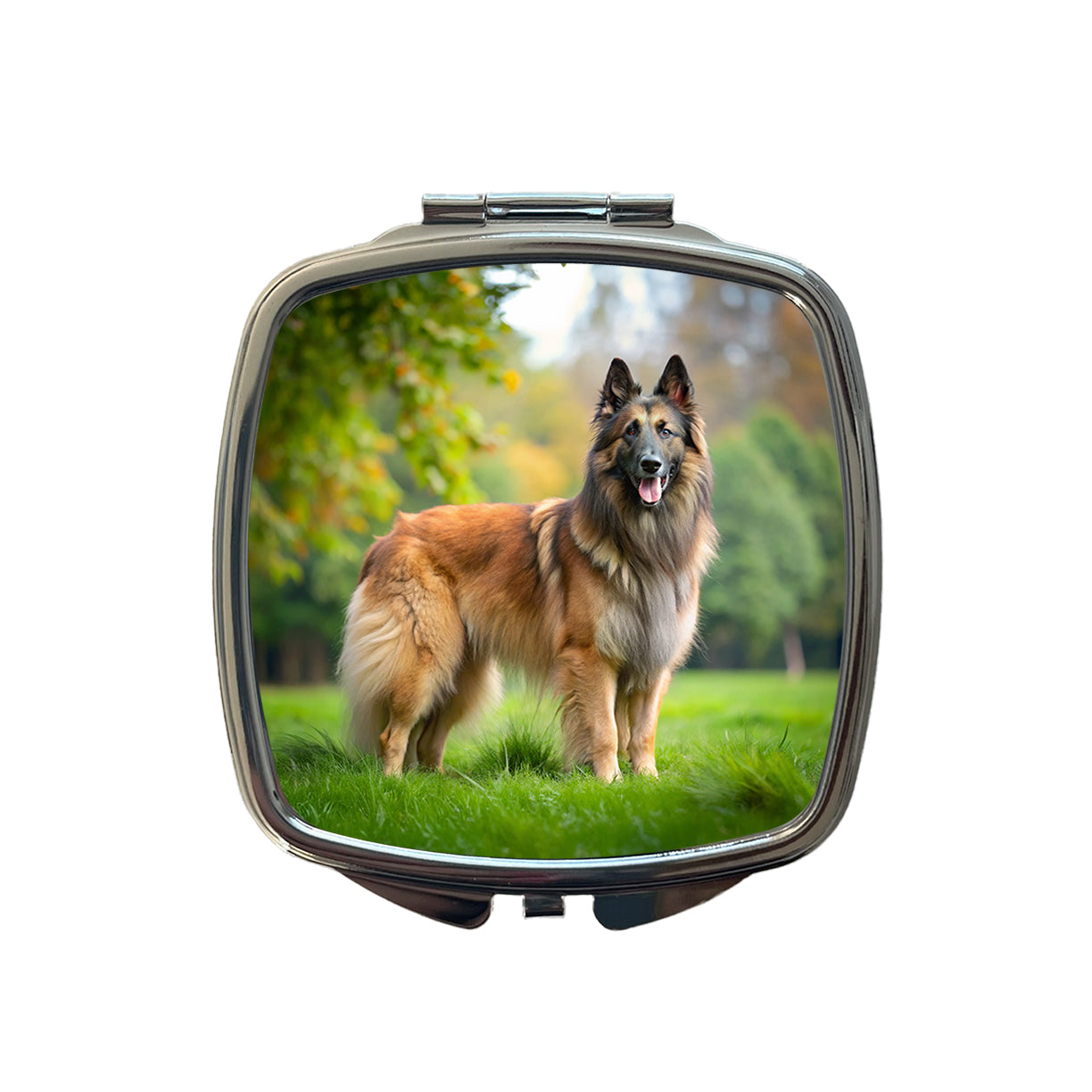 Belgian Tervuren Dog Photo Small Travel Purse Handbag Pocket Makeup Compact Mirror