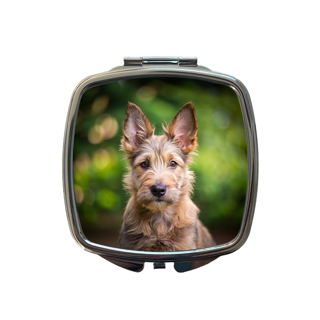Berger Picard Dog Puppy Photo Small Travel Purse Handbag Pocket Makeup Compact Mirror