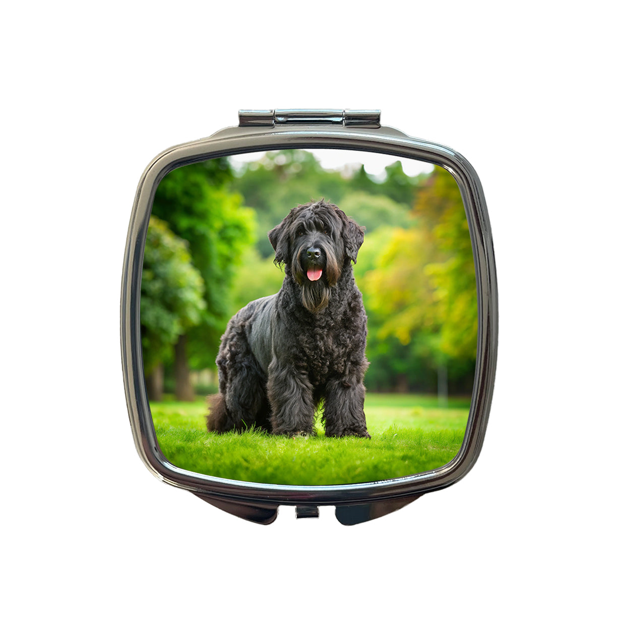 Black Russian Terrier Dog Photo Small Travel Purse Handbag Pocket Makeup Compact Mirror