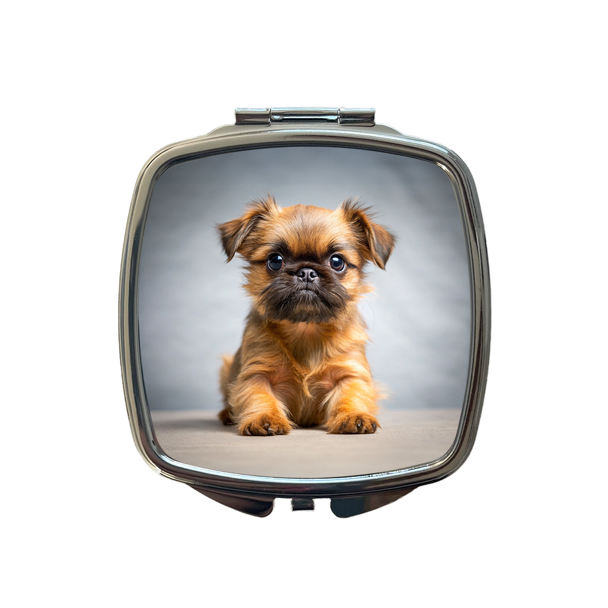 Brussels Griffon Dog Puppy Photo Small Travel Purse Handbag Pocket Makeup Compact Mirror