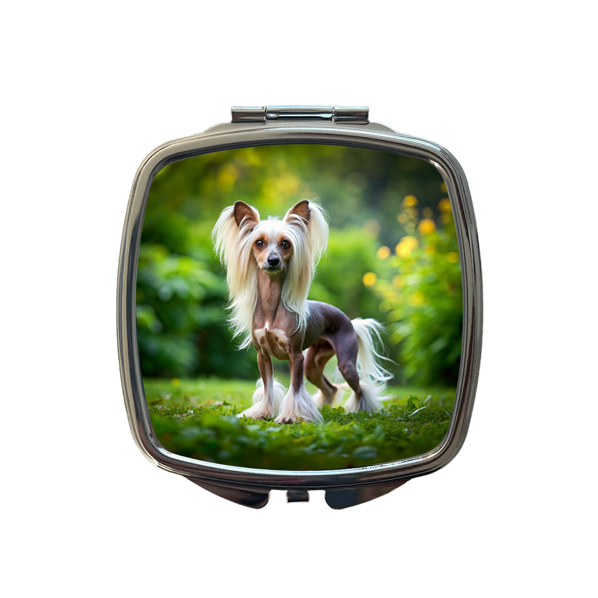 Chinese Crested Dog Photo Small Travel Purse Handbag Pocket Makeup Compact Mirror