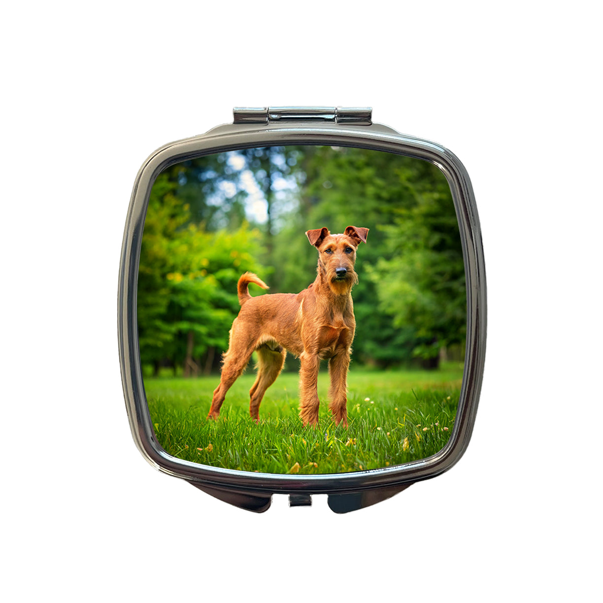 Irish Terrier Dog Photo Small Travel Purse Handbag Pocket Makeup Compact Mirror