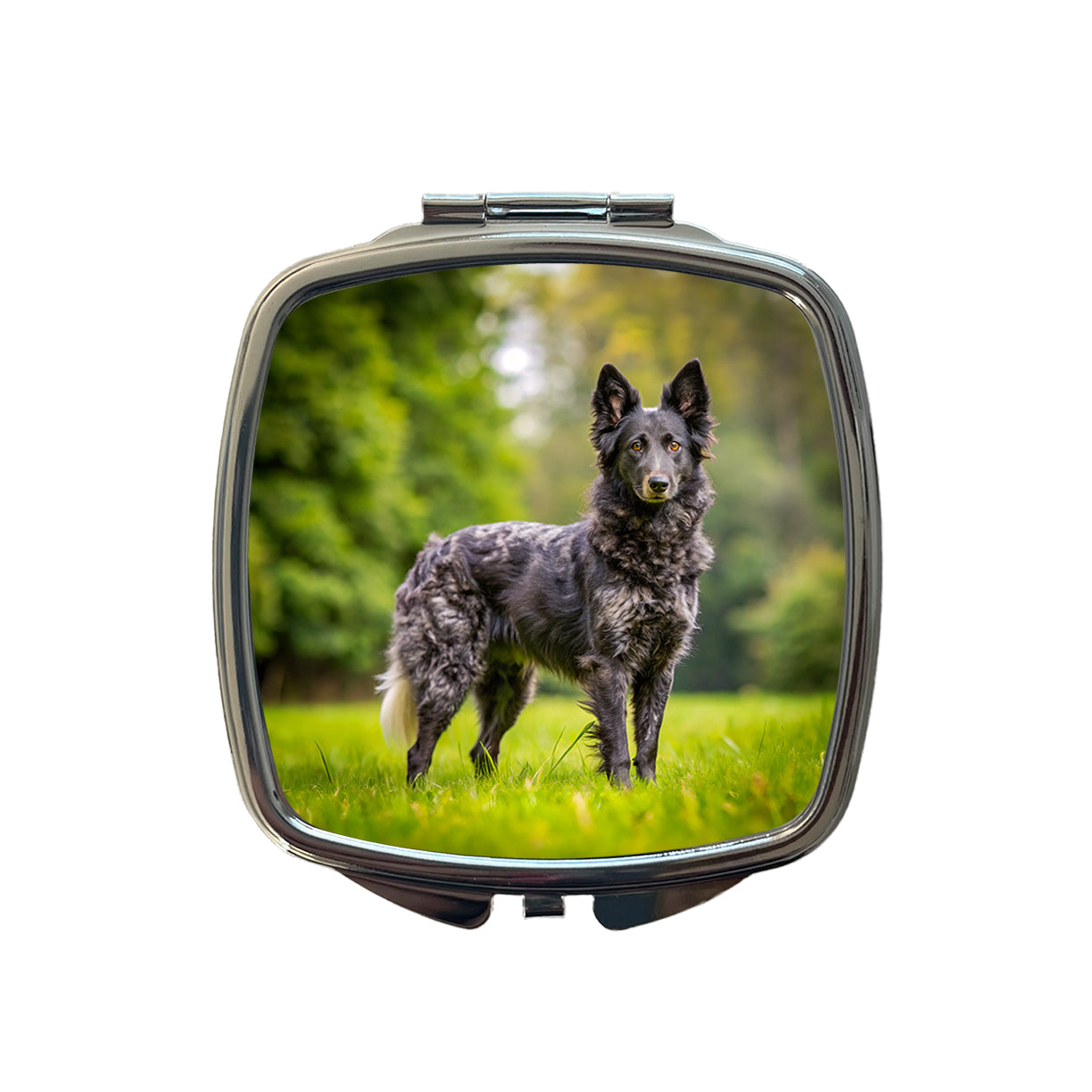 Mudi Dog Photo Small Travel Purse Handbag Pocket Makeup Compact Mirror