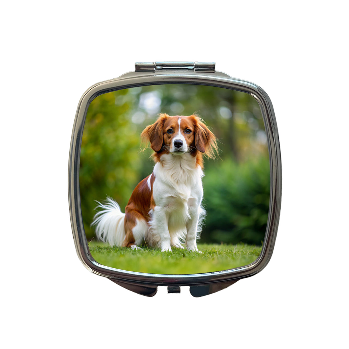Nederlandse Kooikerhondje Dog Photo Small Travel Purse Handbag Pocket Makeup Compact Mirror