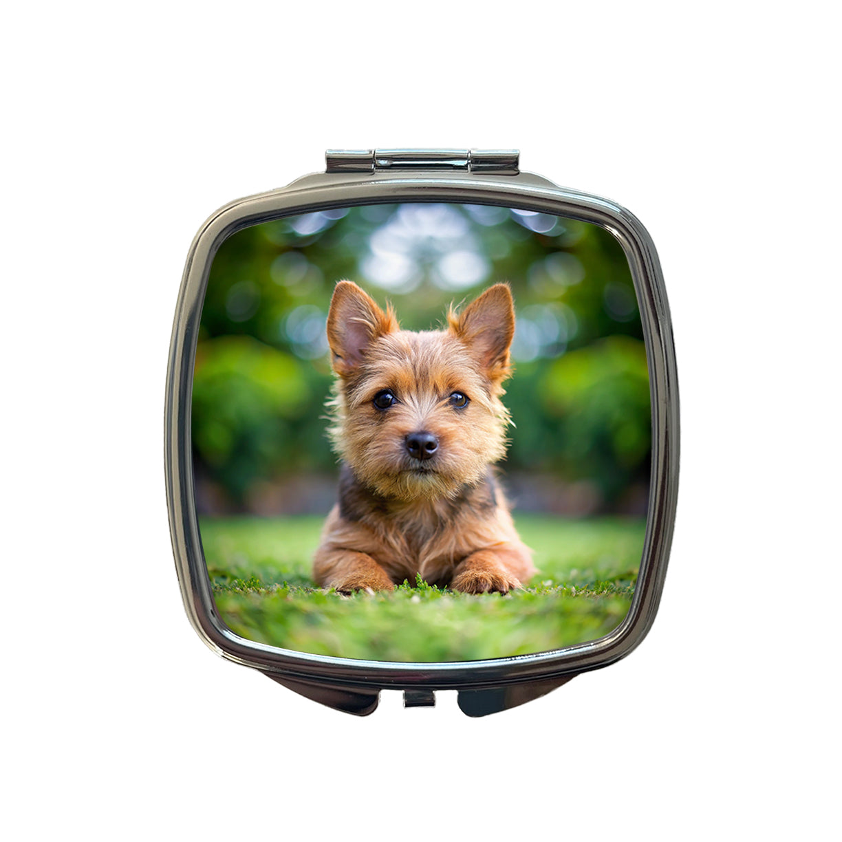 Norwich Terrier Dog Puppy Photo Small Travel Purse Handbag Pocket Makeup Compact Mirror