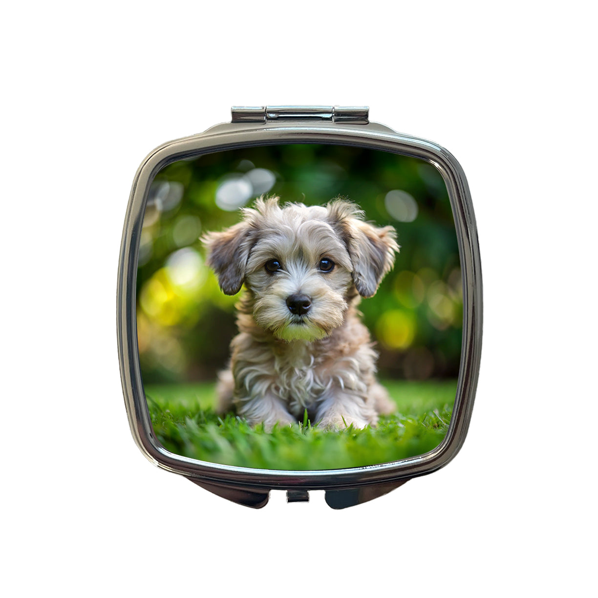 Schnoodle Dog Puppy Photo Small Travel Purse Handbag Pocket Makeup Compact Mirror