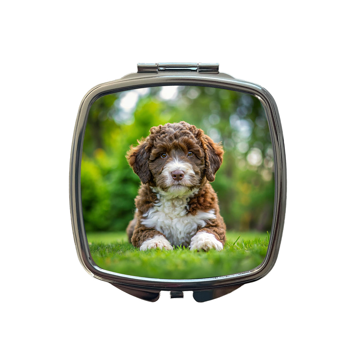 Spanish Water Dog Puppy Photo Small Travel Purse Handbag Pocket Makeup Compact Mirror