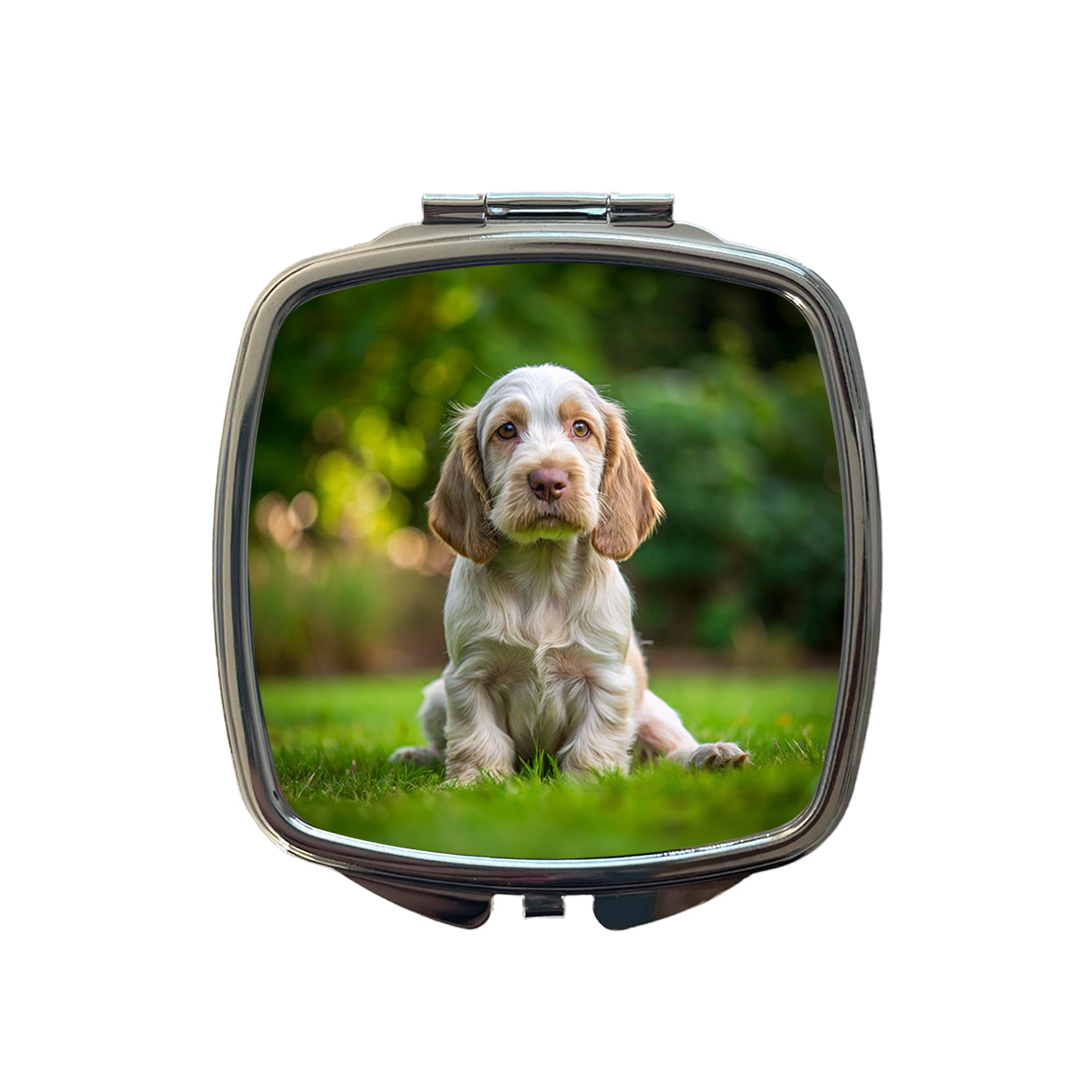 Spinone Italiano Dog Puppy Photo Small Travel Purse Handbag Pocket Makeup Compact Mirror