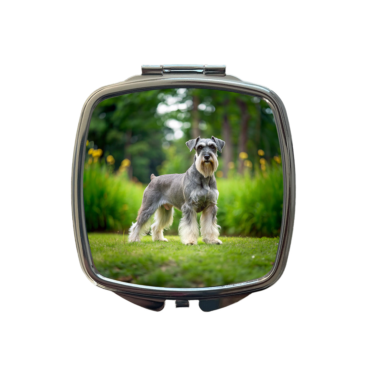 Standard Schnauzer Dog Photo Small Travel Purse Handbag Pocket Makeup Compact Mirror