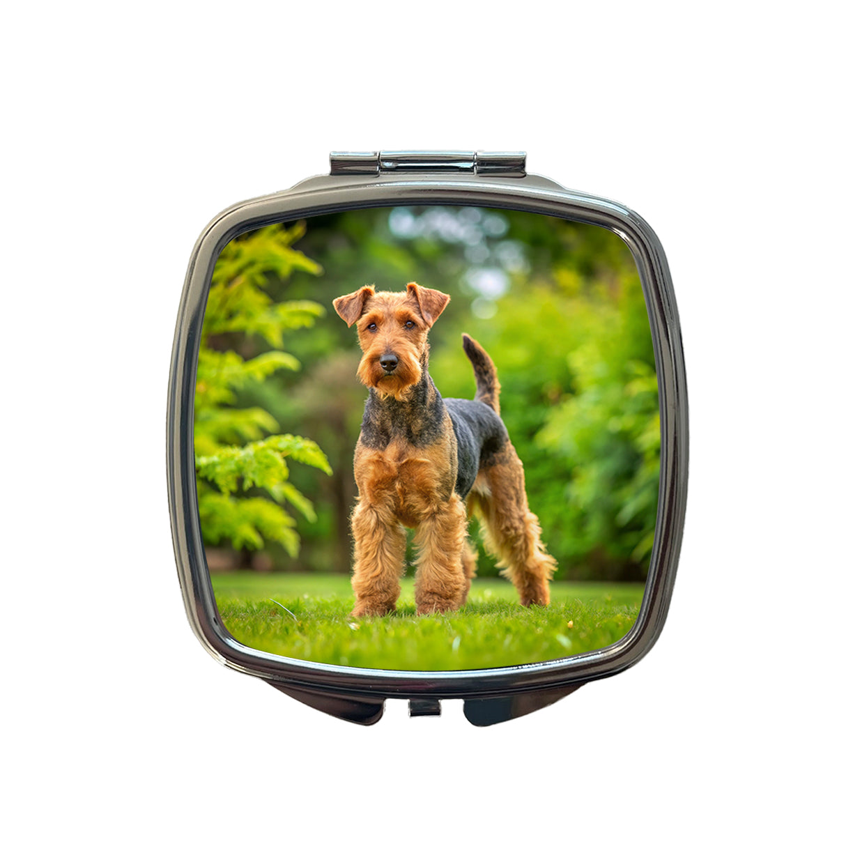 Welsh Terrier Dog Photo Small Travel Purse Handbag Pocket Makeup Compact Mirror