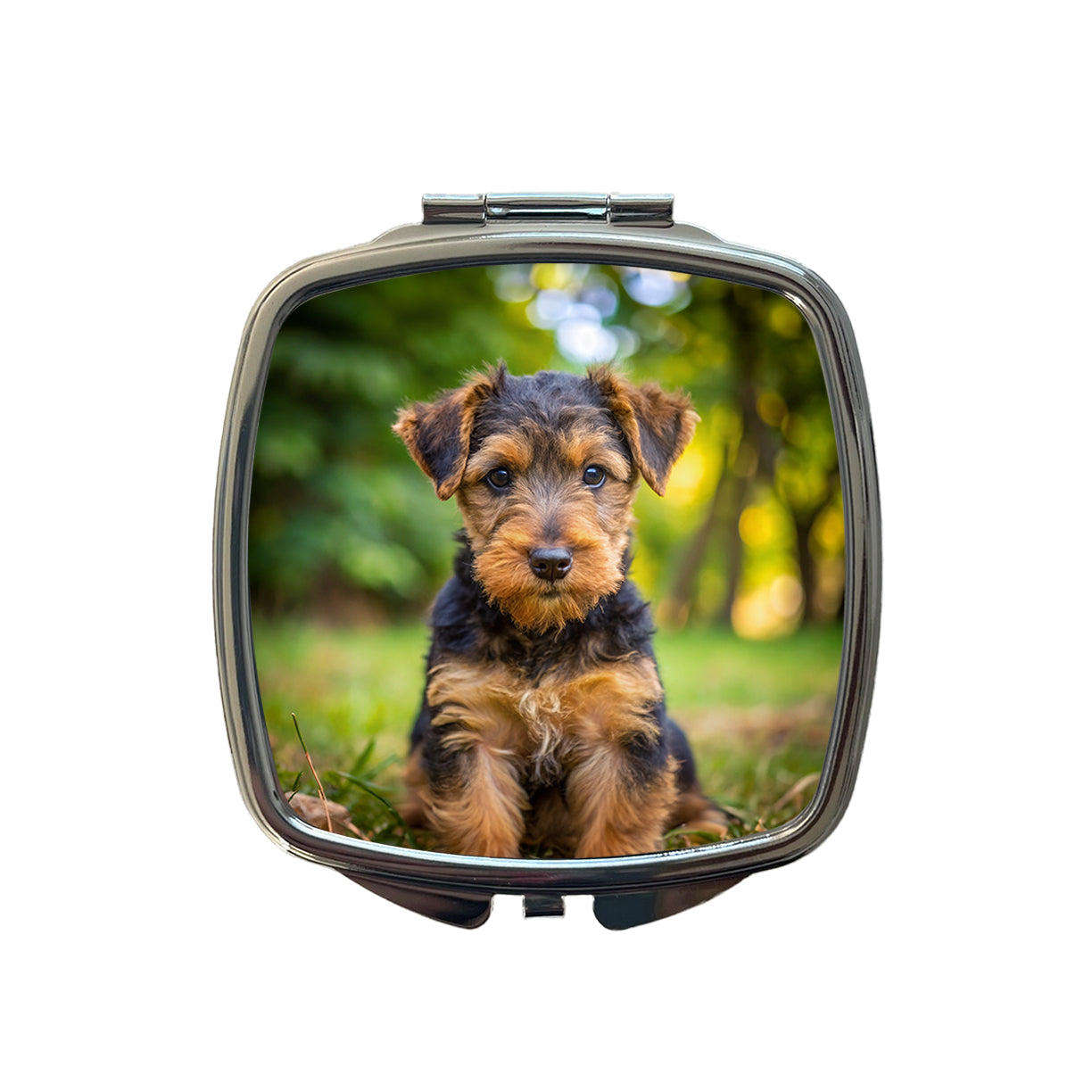 Welsh Terrier Dog Puppy Photo Small Travel Purse Handbag Pocket Makeup Compact Mirror