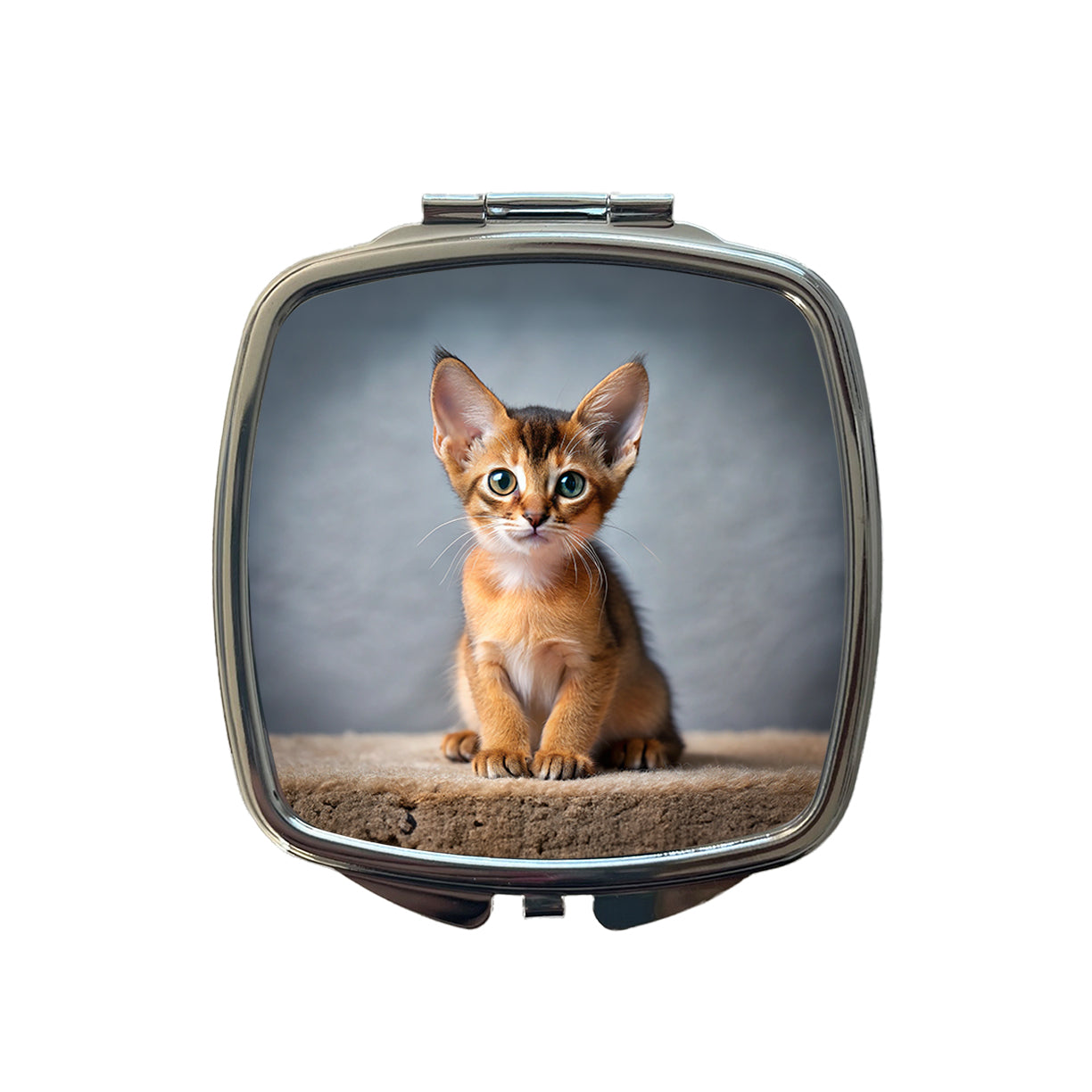 Abyssinian Cat Kitten Photo Small Travel Purse Handbag Pocket Makeup Compact Mirror