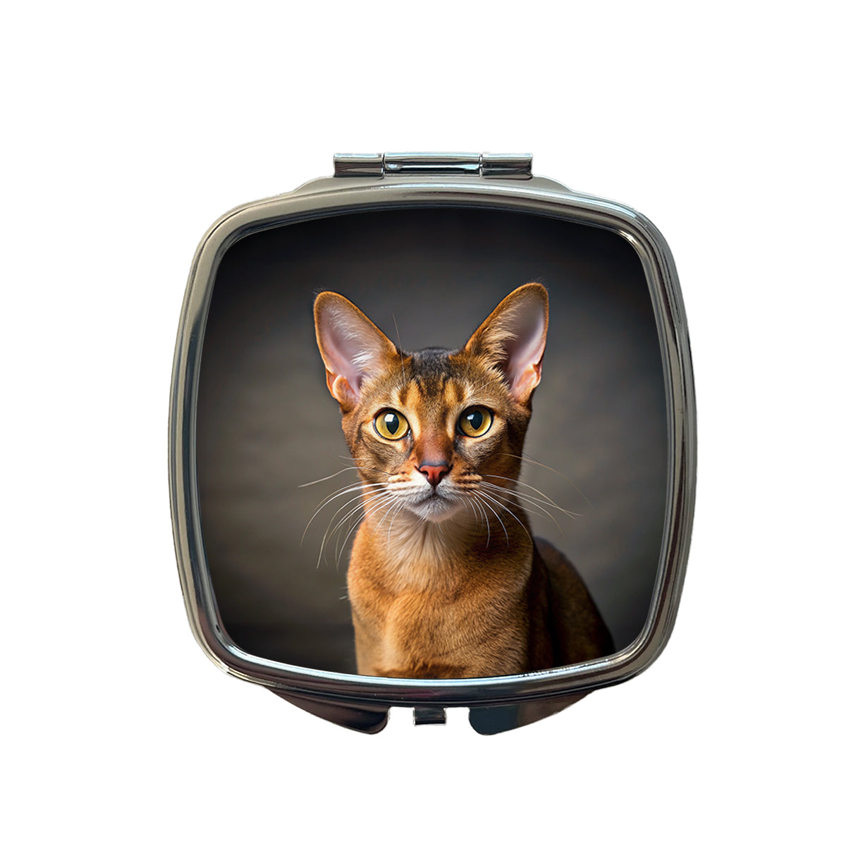 Abyssinian Cat Photo Small Travel Purse Handbag Pocket Makeup Compact Mirror