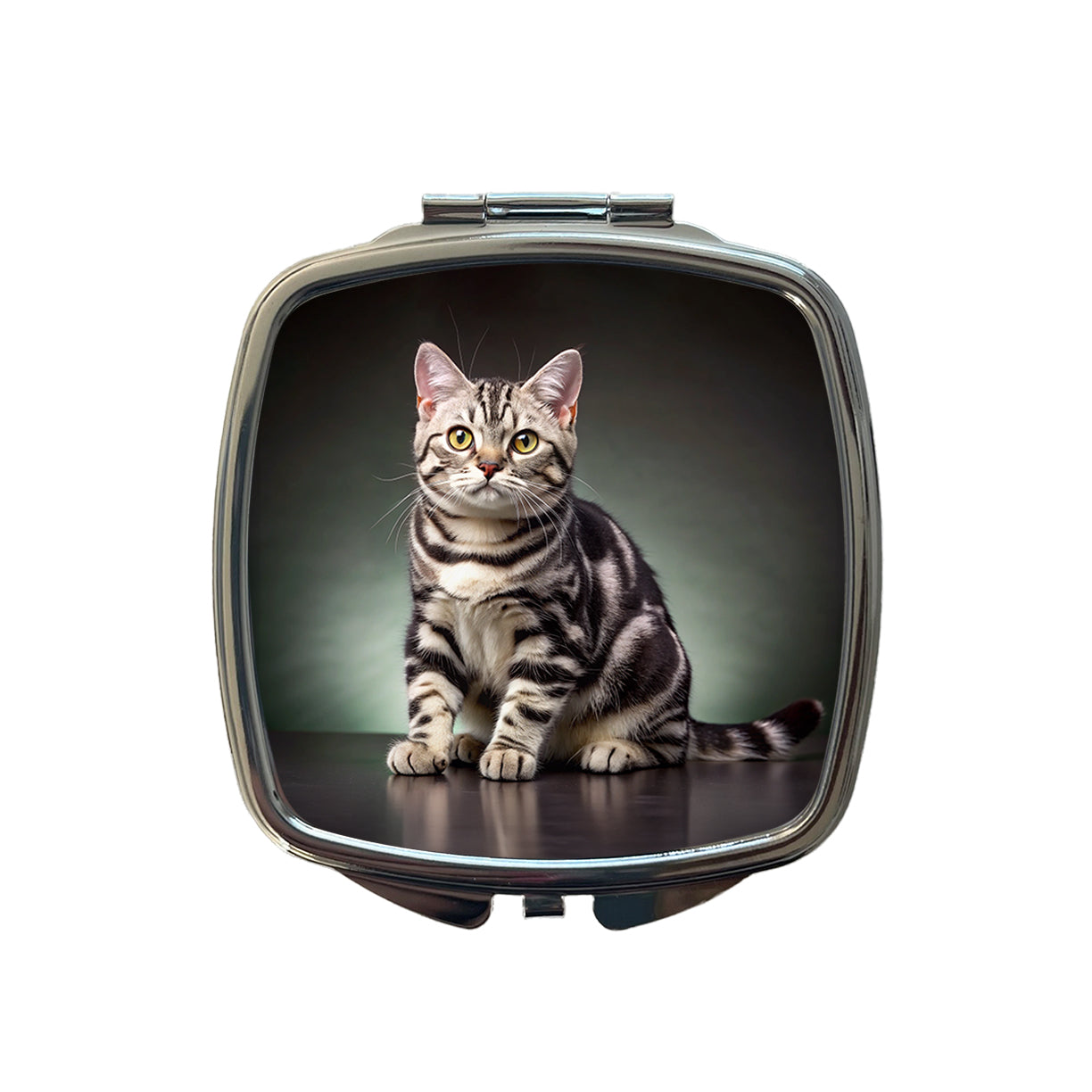 American Shorthair Cat Photo Small Travel Purse Handbag Pocket Makeup Compact Mirror