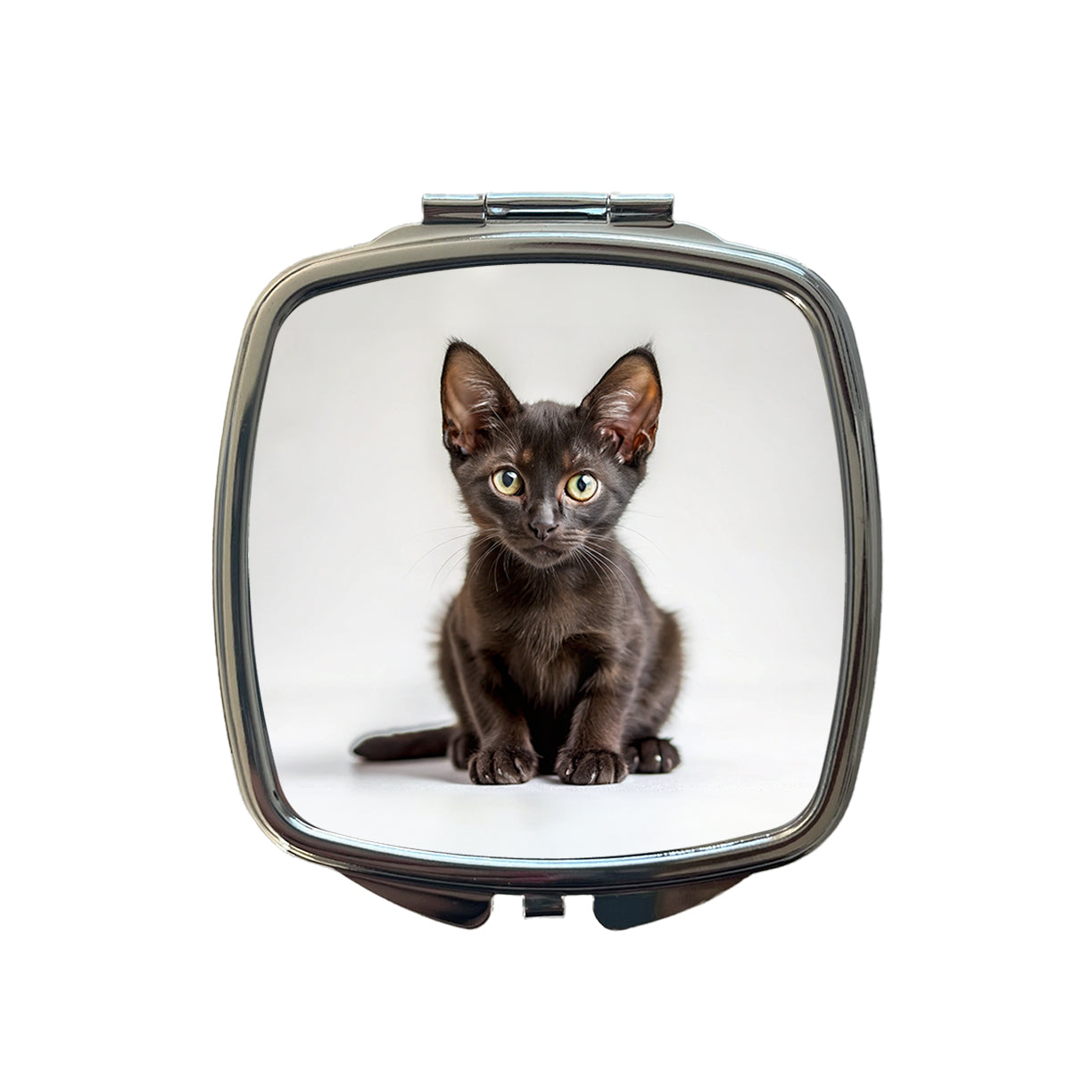 Bombay Black Cat Kitten Photo Small Travel Purse Handbag Pocket Makeup Compact Mirror