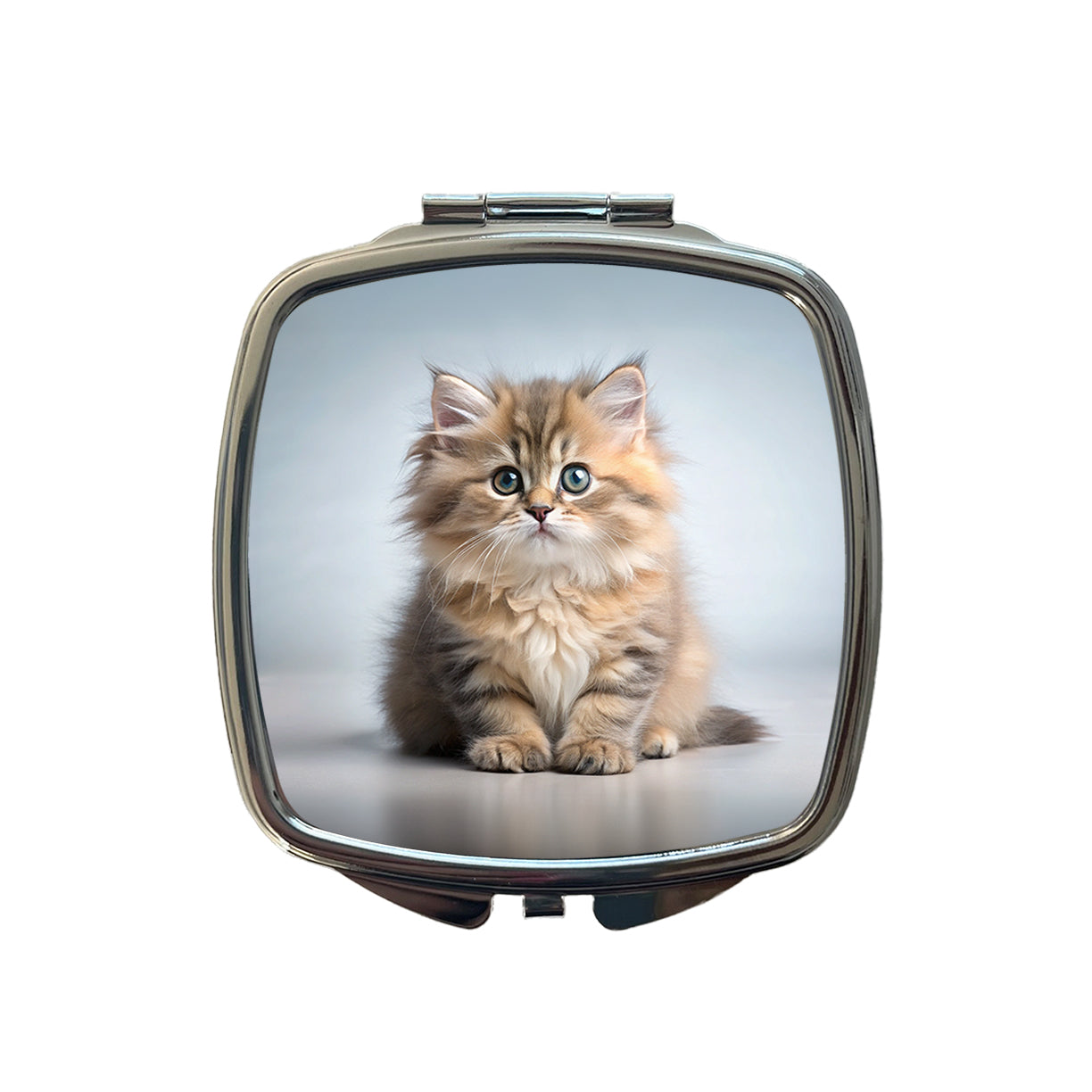 British Longhair Cat Kitten Photo Small Travel Purse Handbag Pocket Makeup Compact Mirror