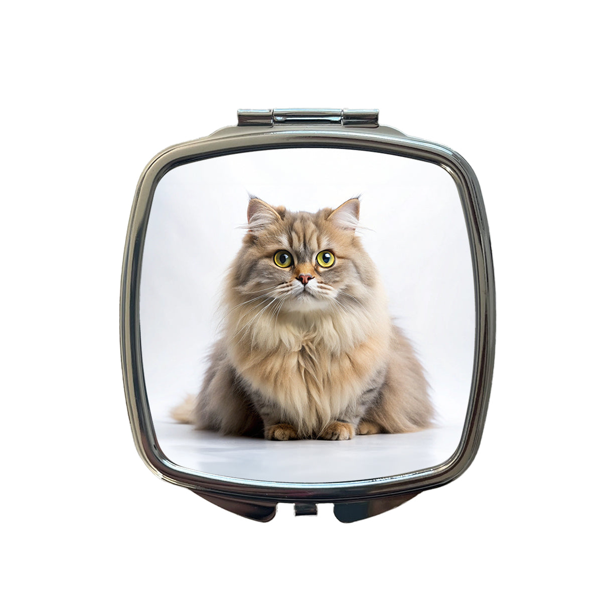 British Longhair Cat Photo Small Travel Purse Handbag Pocket Makeup Compact Mirror
