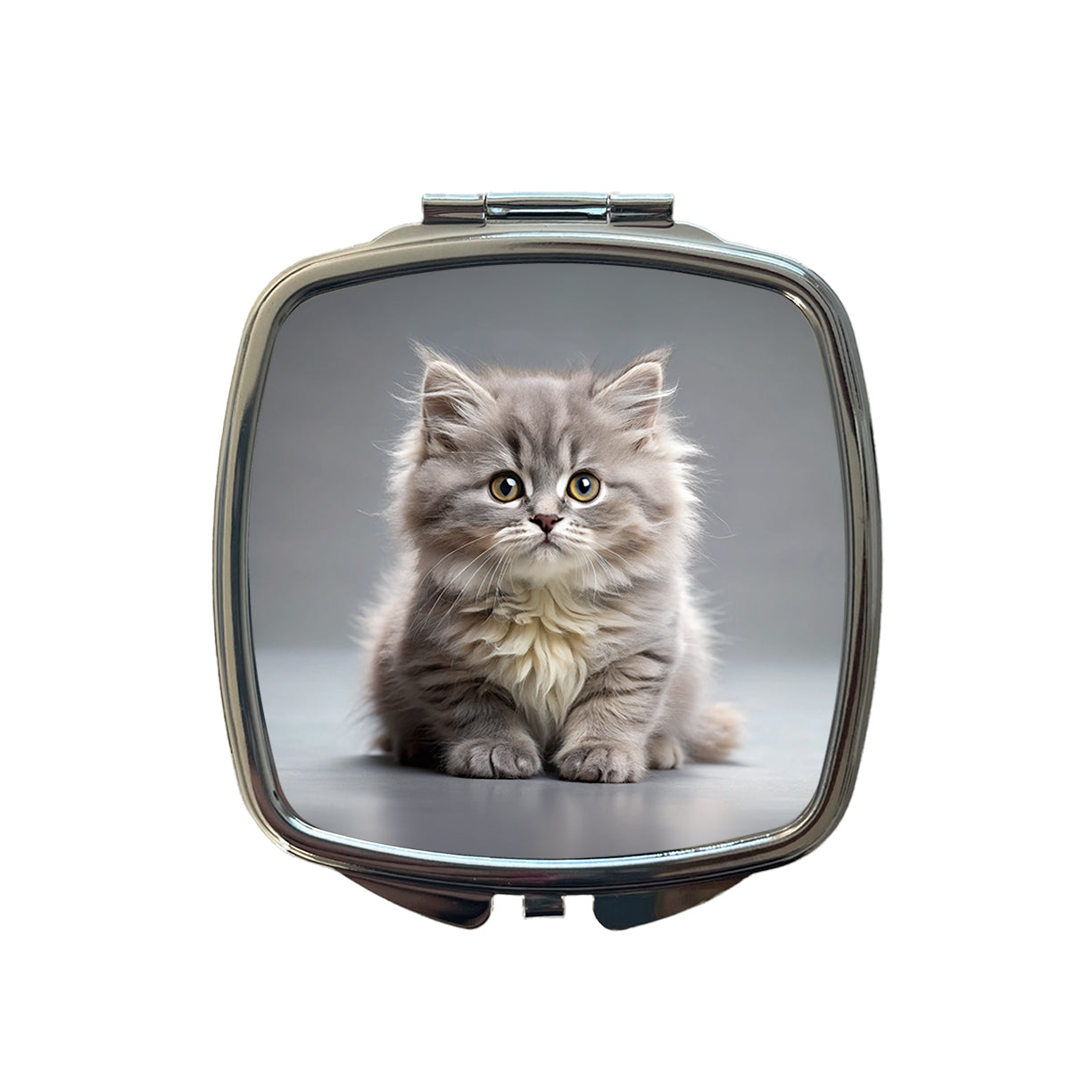 British Longhair Gray Cat Kitten Photo Small Travel Purse Handbag Pocket Makeup Compact Mirror