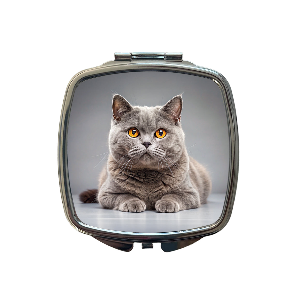 British Shorthair Gray Cat Photo Small Travel Purse Handbag Pocket Makeup Compact Mirror
