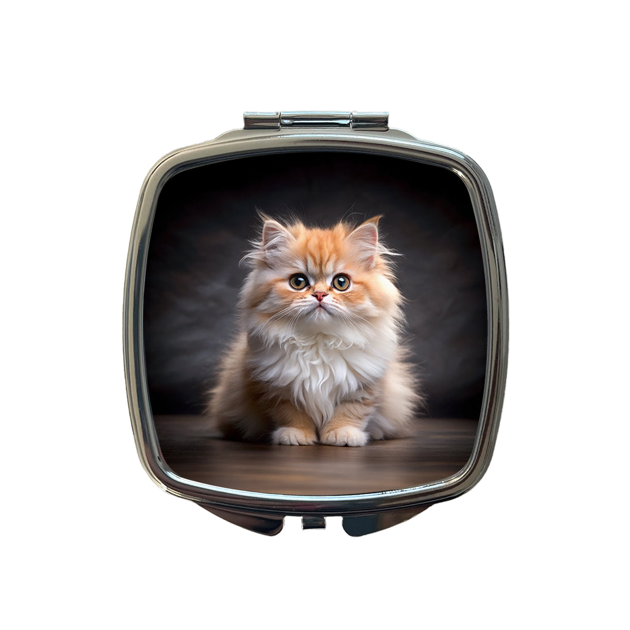 Classic Persian Cat Kitten Photo Small Travel Purse Handbag Pocket Makeup Compact Mirror