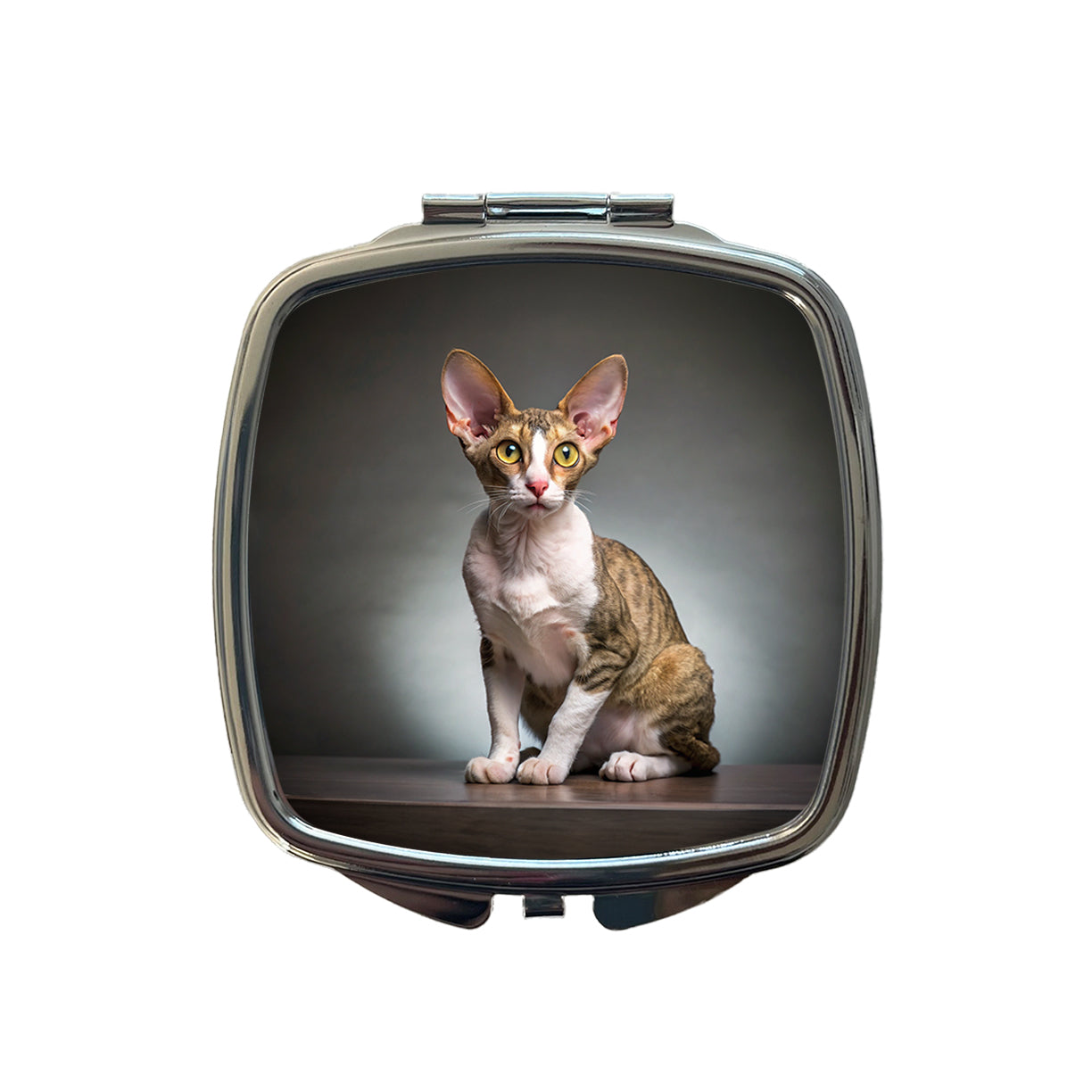 Cornish Rex Cat Photo Small Travel Purse Handbag Pocket Makeup Compact Mirror