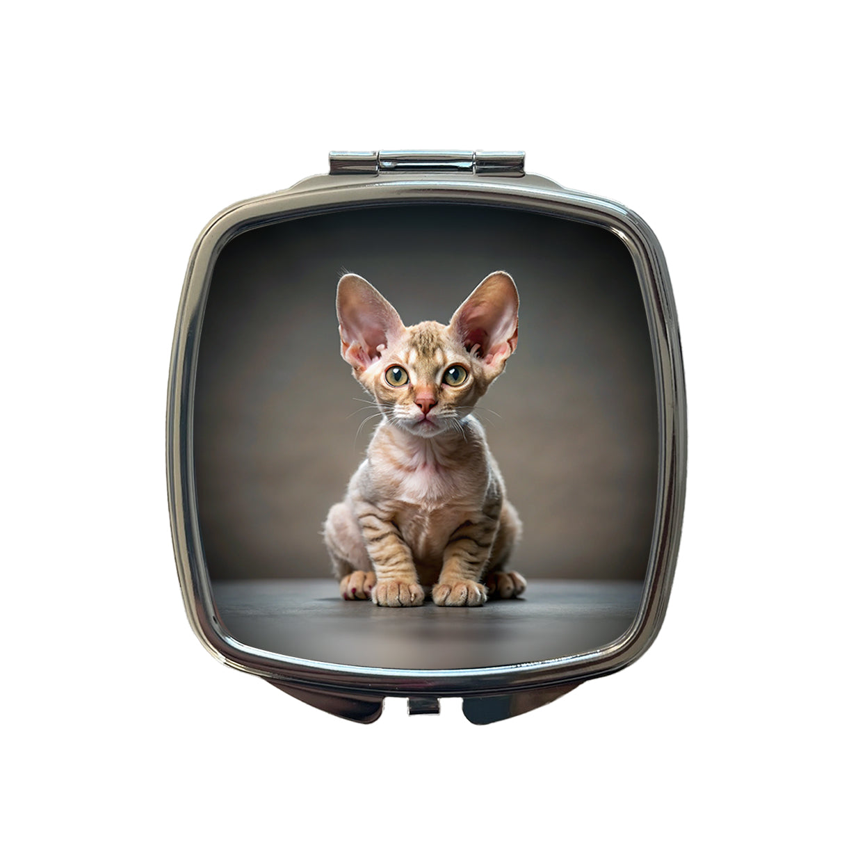 Devon Rex Cat Kitten Photo Small Travel Purse Handbag Pocket Makeup Compact Mirror
