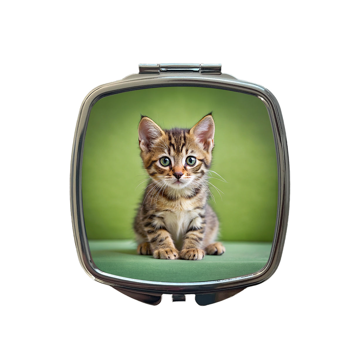 European Shorthair Cat Kitten Photo Small Travel Purse Handbag Pocket Makeup Compact Mirror