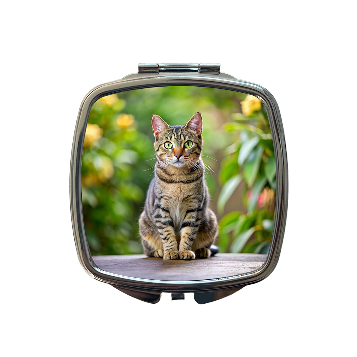 European Shorthair Cat Photo Small Travel Purse Handbag Pocket Makeup Compact Mirror