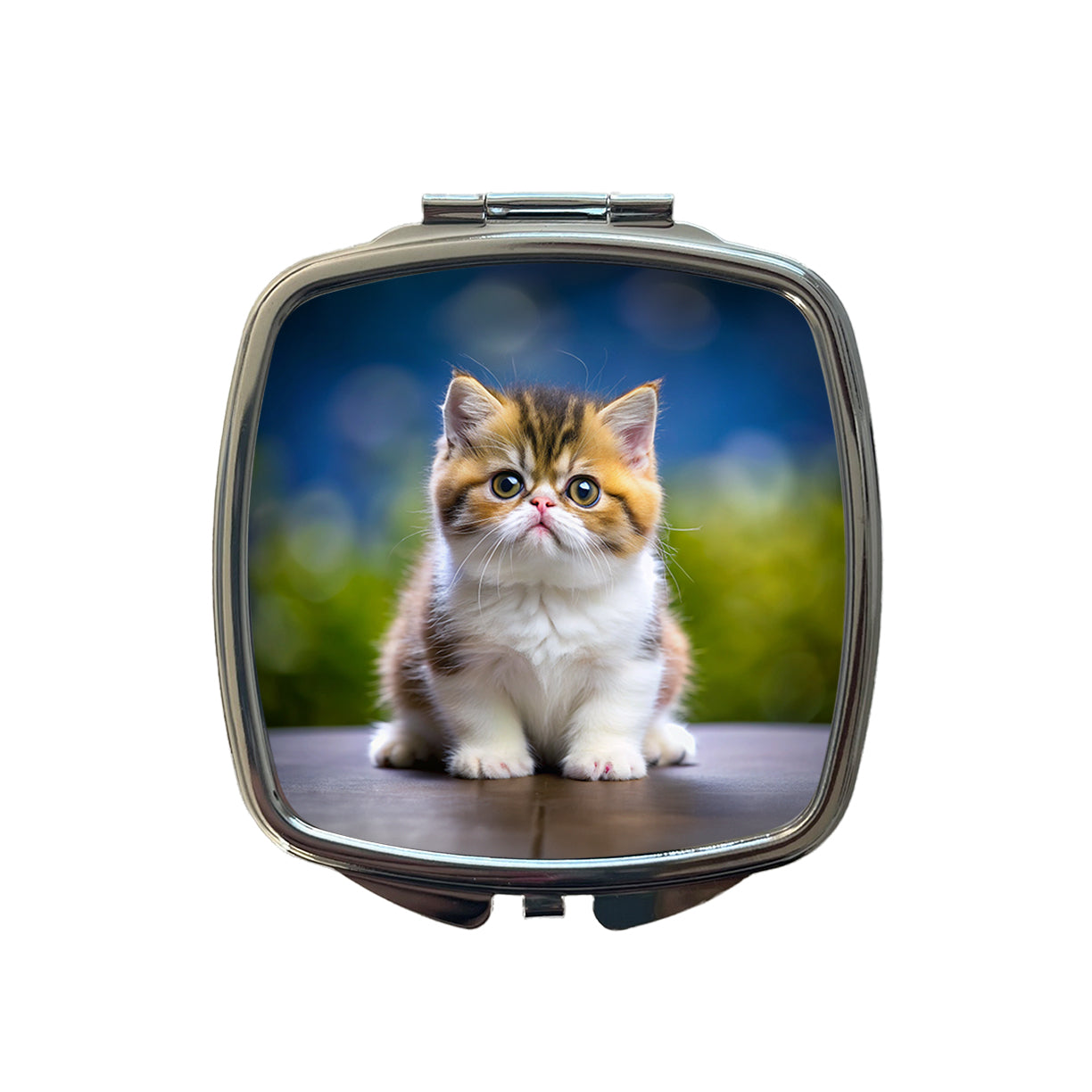 Exotic Shorthair Cat Kitten Photo Small Travel Purse Handbag Pocket Makeup Compact Mirror
