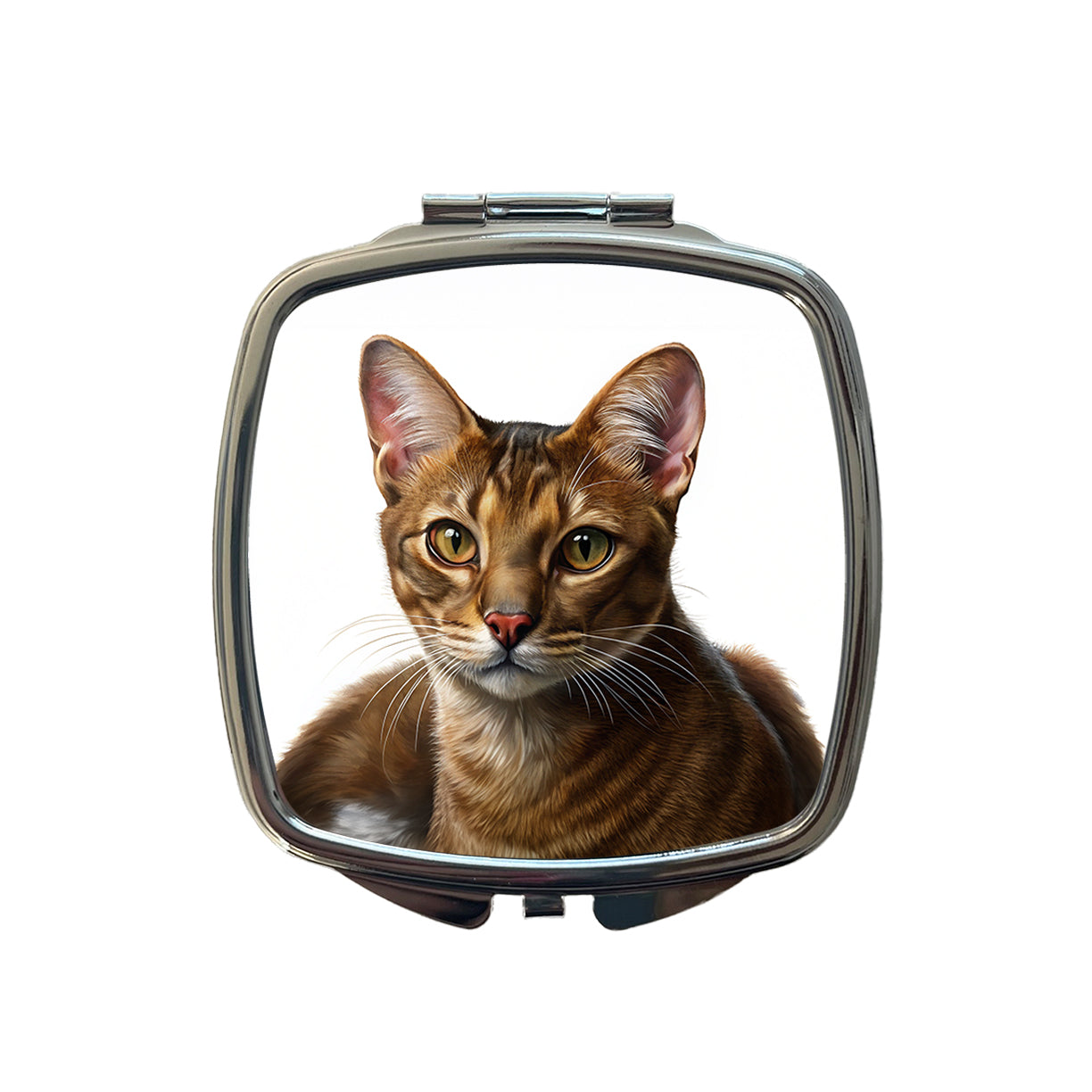 Havana Brown Cat Illustration Small Travel Purse Handbag Pocket Makeup Compact Mirror
