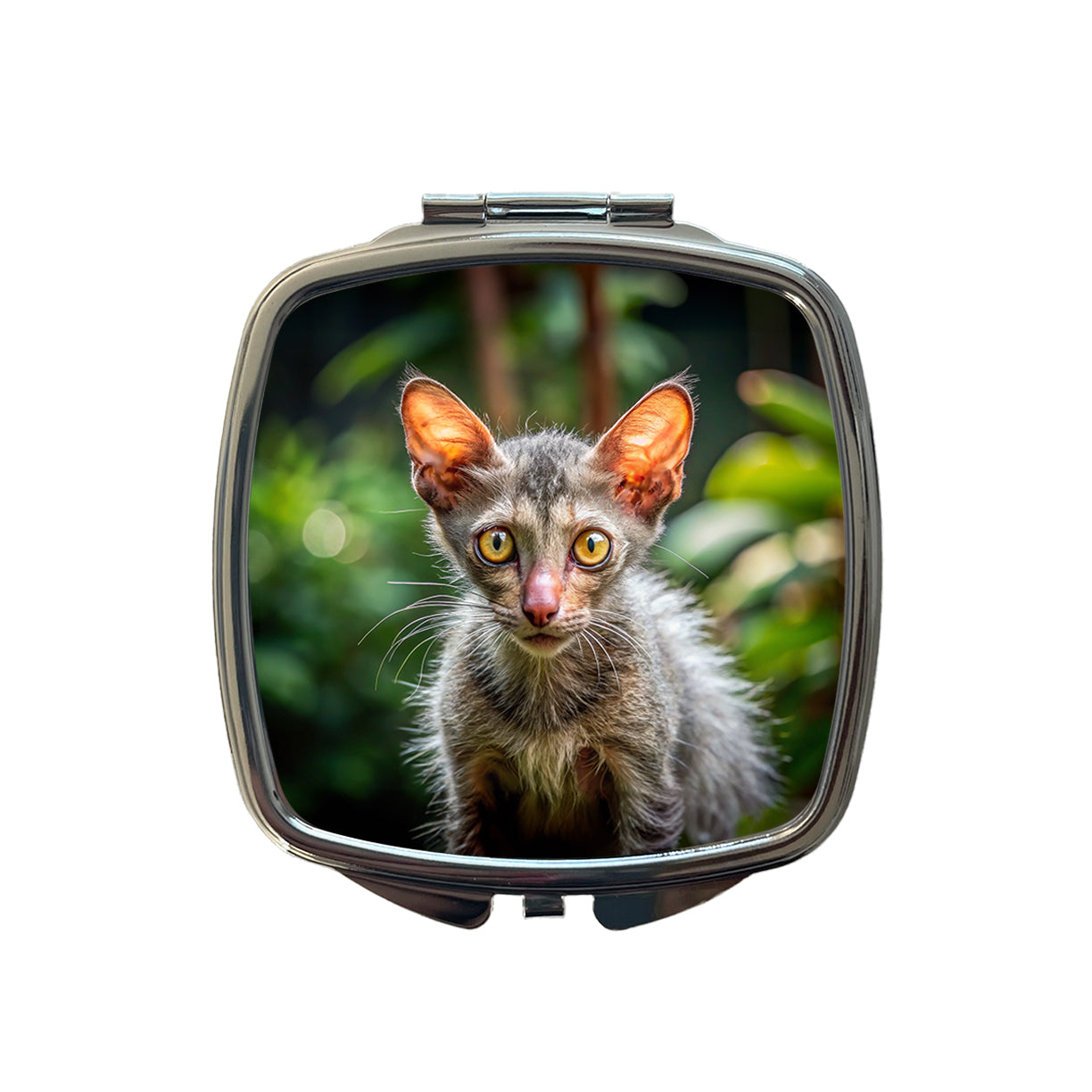 Lykoi Wolf Cat Photo Small Travel Purse Handbag Pocket Makeup Compact Mirror