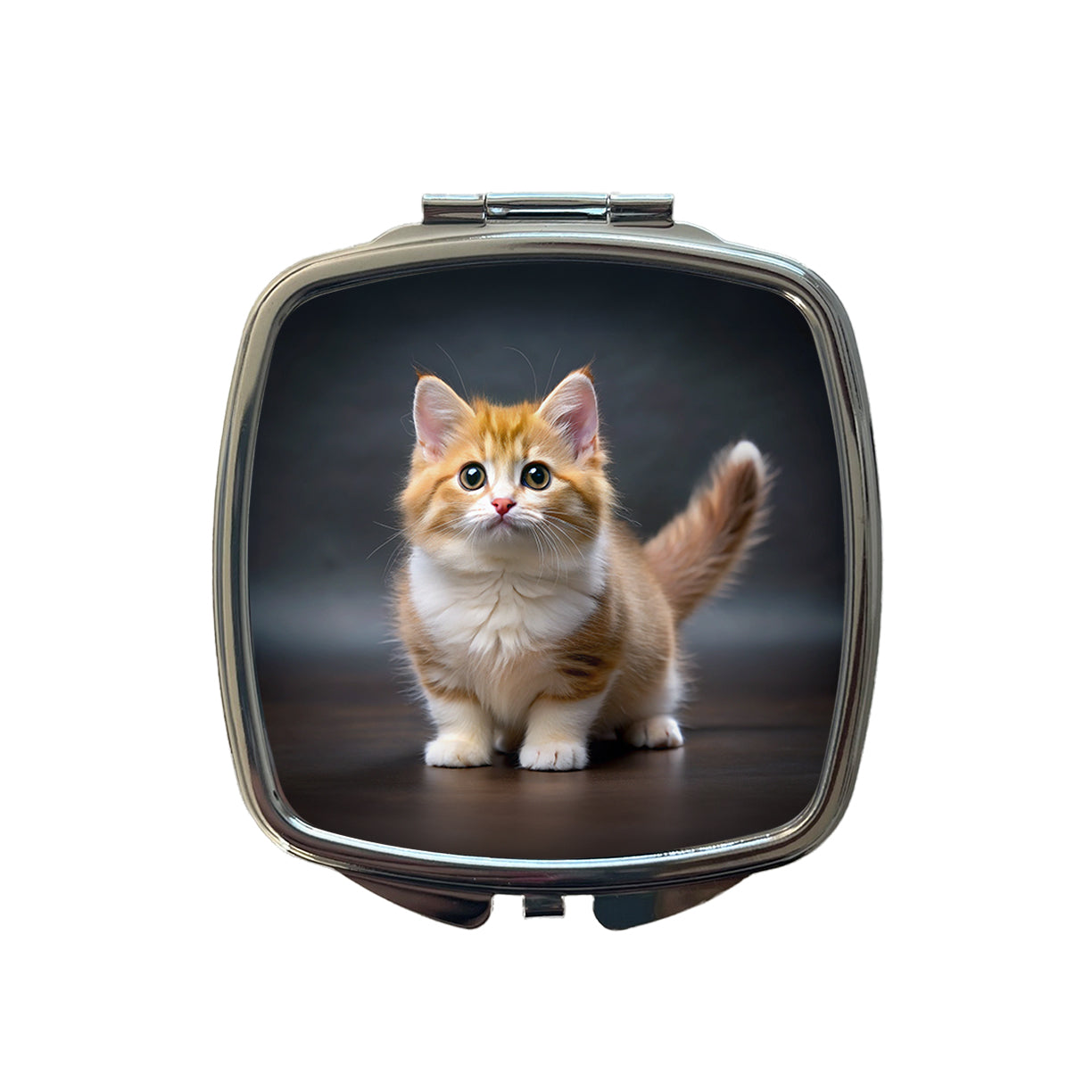 Munchkin Cat Photo Small Travel Purse Handbag Pocket Makeup Compact Mirror