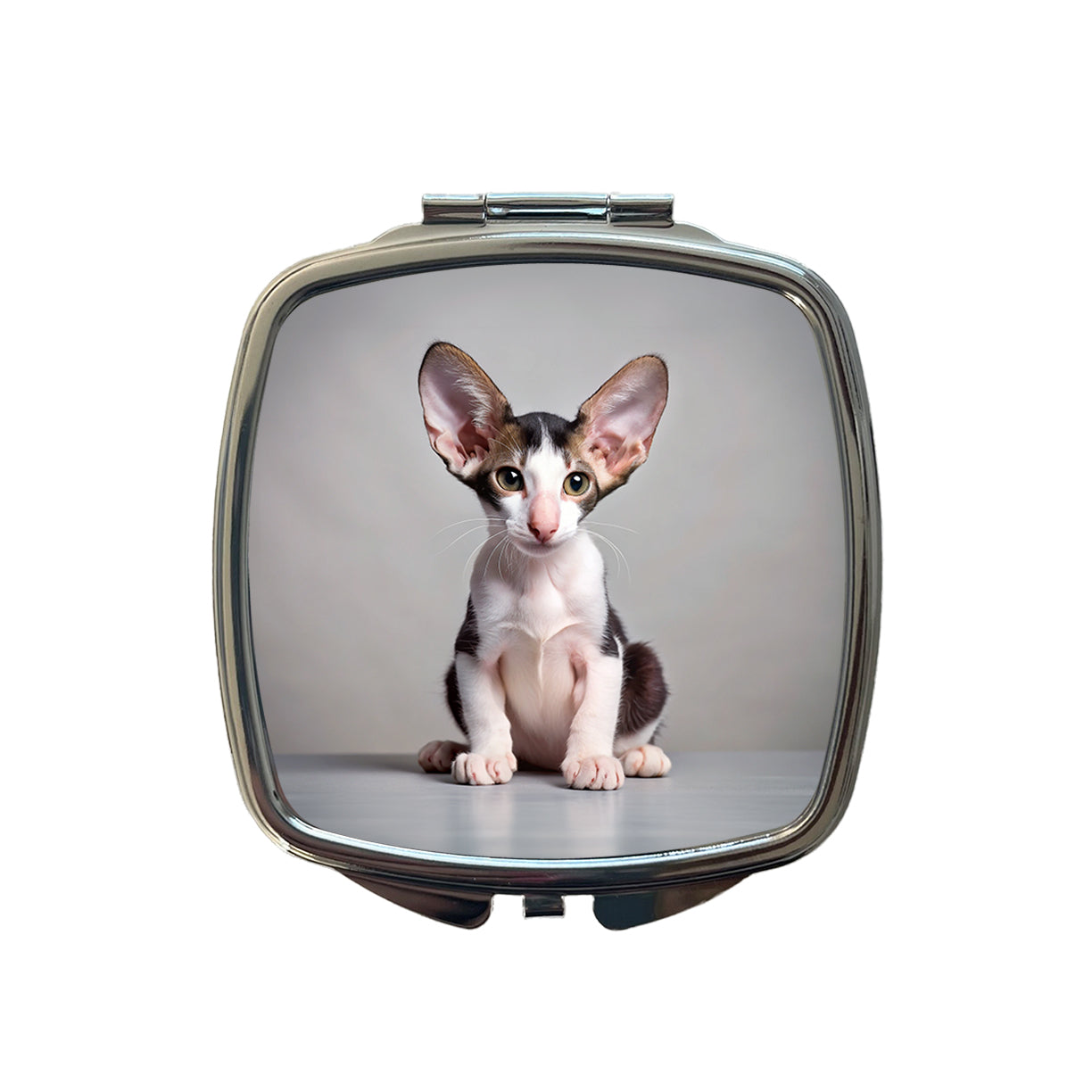 Oriental Shorthair Black White Cat Kitten Photo Small Travel Purse Handbag Pocket Makeup Compact Mirror