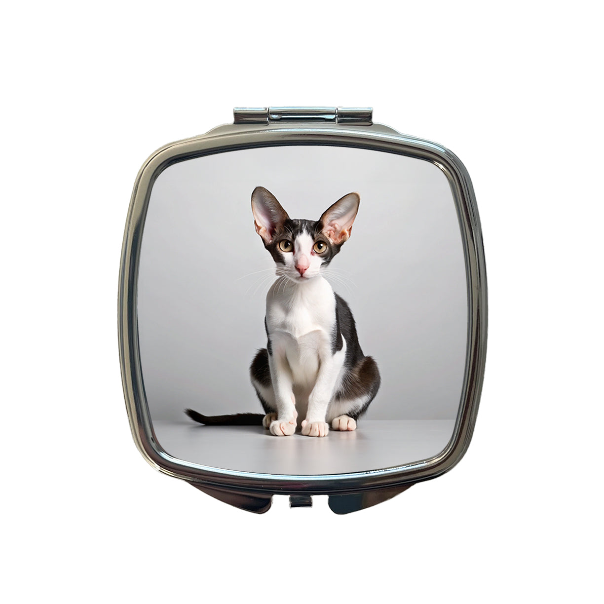 Oriental Shorthair Black White Cat Photo Small Travel Purse Handbag Pocket Makeup Compact Mirror