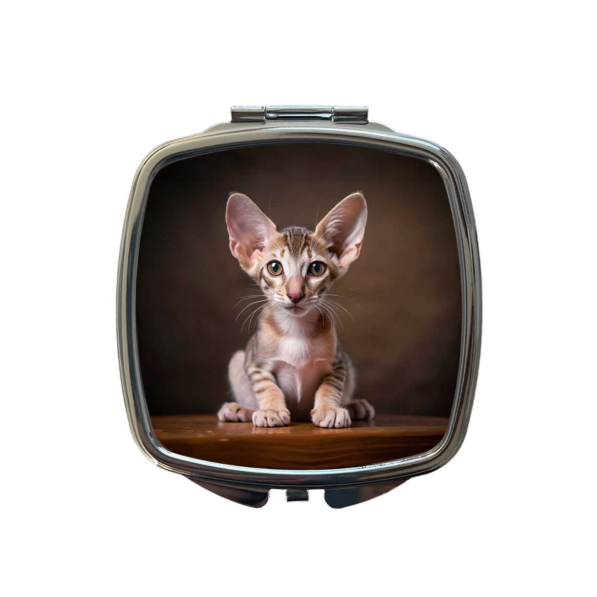 Oriental Shorthair Cat Kitten Photo Small Travel Purse Handbag Pocket Makeup Compact Mirror