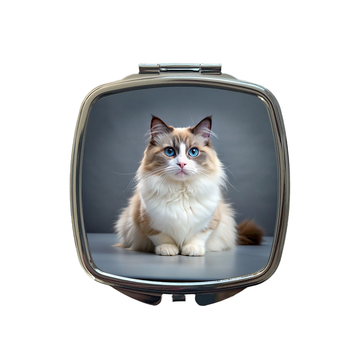 Ragdoll Cat Photo Small Travel Purse Handbag Pocket Makeup Compact Mirror
