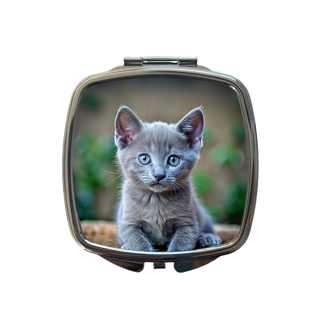Russian Blue Cat Kitten Photo Small Travel Purse Handbag Pocket Makeup Compact Mirror